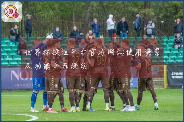 世界杯投注平台官方网站使用场景及功能全面说明