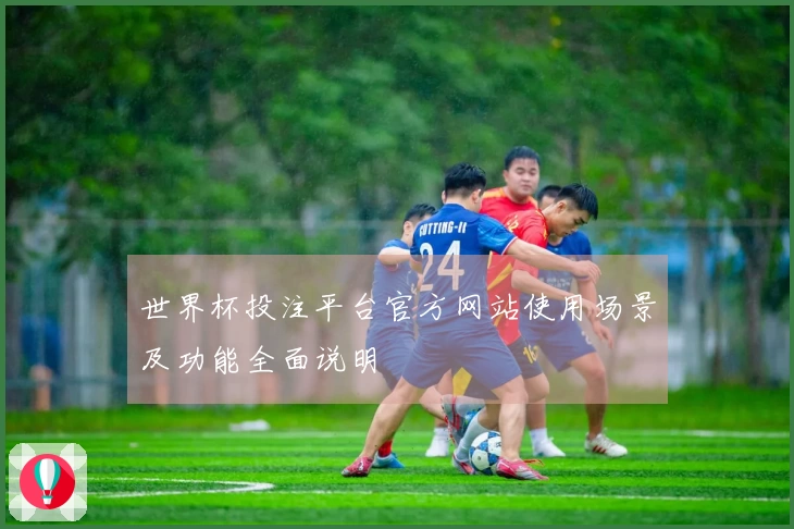 世界杯投注平台官方网站使用场景及功能全面说明