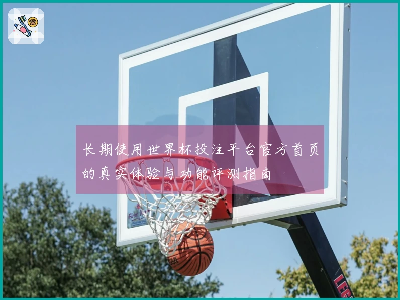 长期使用世界杯投注平台官方首页的真实体验与功能评测指南