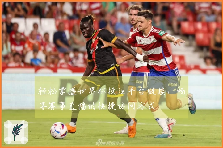 轻松掌握世界杯投注平台链接，畅享赛事直播的快捷访问方式