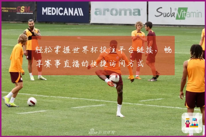 轻松掌握世界杯投注平台链接，畅享赛事直播的快捷访问方式