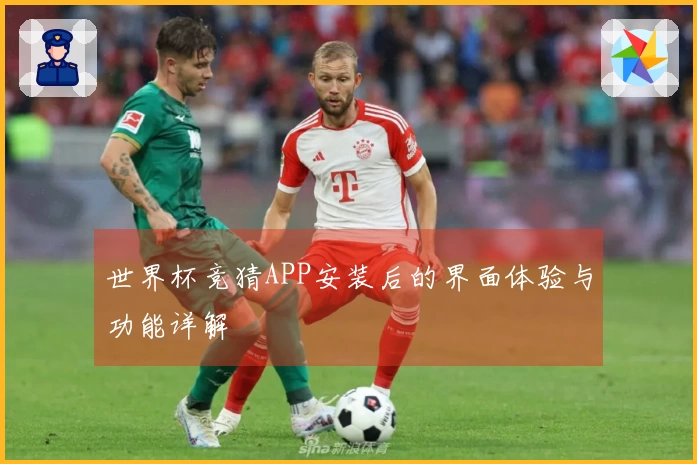 世界杯竞猜APP安装后的界面体验与功能详解